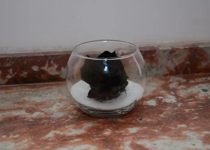 Bed & Breakfast Nostra Demora